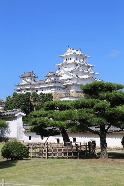 姫路城が白い理由 白すぎ城 白さは 年が限界 秘密を解説 デイジーポケット