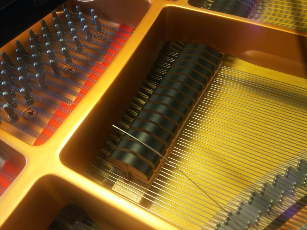 羊と鋼の森!山崎賢人主演調律師の魅力・内容徹底レビュー【役者編】