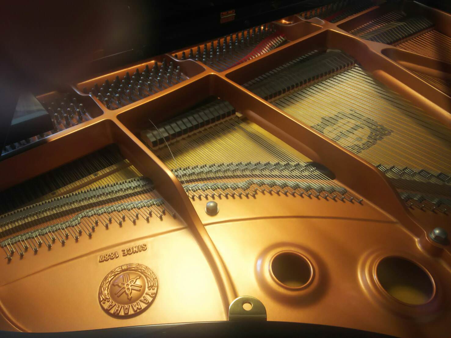 羊と鋼の森で話題!調律師の仕事の素晴らしさ【直撃取材&調律体験】