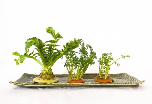 再生栽培（リボベジ）できる野菜8選!簡単・エコ!栽培方法まで家計に優しい野菜たちをご紹介