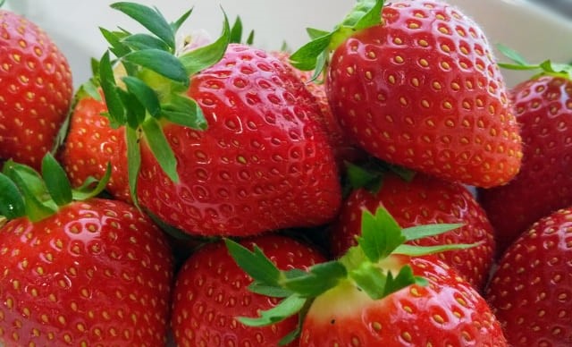 キングベリーあまおうチーズケーキファクトリー「マイング博多店 」いちごを使ったおすすめメニューと口コミ、アクセスをご紹介！