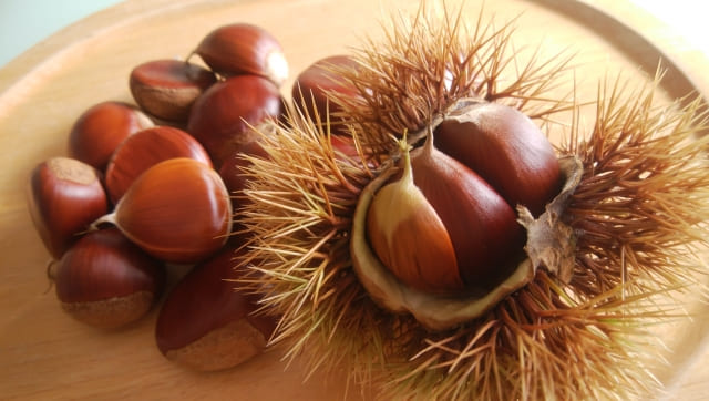 敷島製パン(Pasco)｢さくふわまろん｣発売日はいつ?値段とカロリーも調査!イタリアマロンの秋らしい焼き菓子