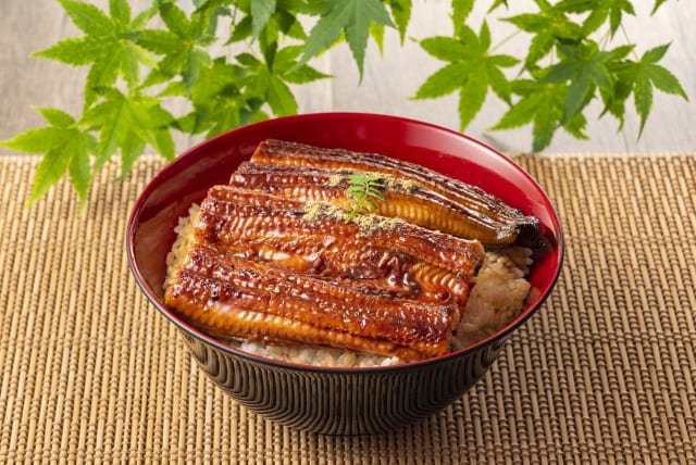 京都「うなぎ四代目菊川京都駅キューブ店」オープン！おすすめメニューと口コミを紹介！混雑する？名物「一本うなぎ」に舌鼓!!