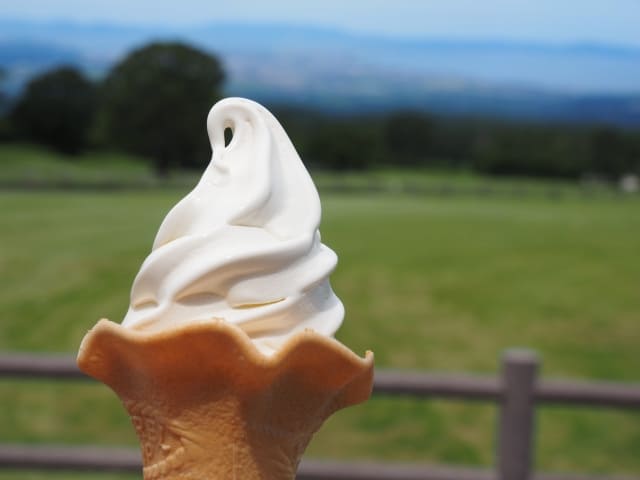 札幌「よつ葉ホワイトコージ札幌ステラプレイス店」オープン！メニュー・口コミ・アクセス、混雑状況までご紹介！